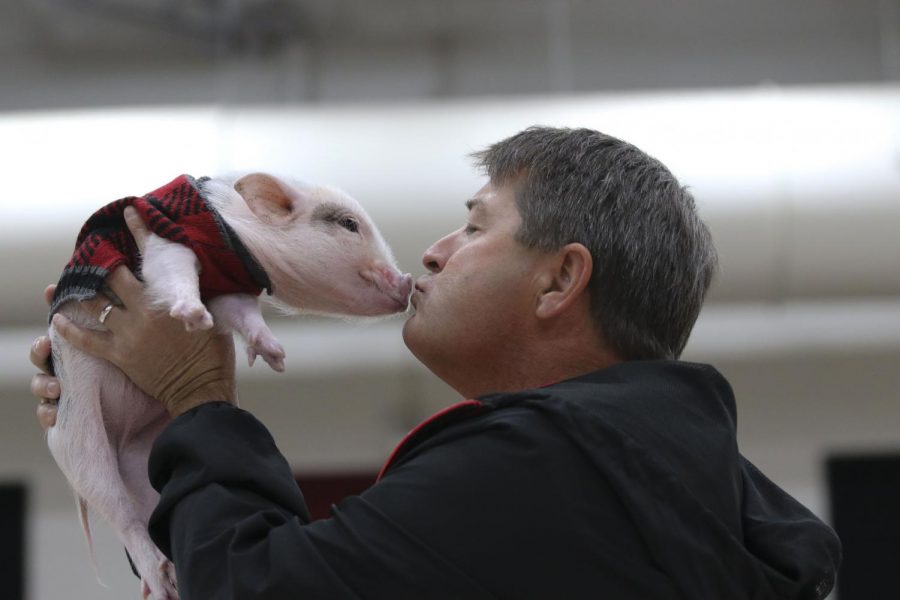 Vice Principal Carl Hill kissed the pig as the crowd encouraged him to.